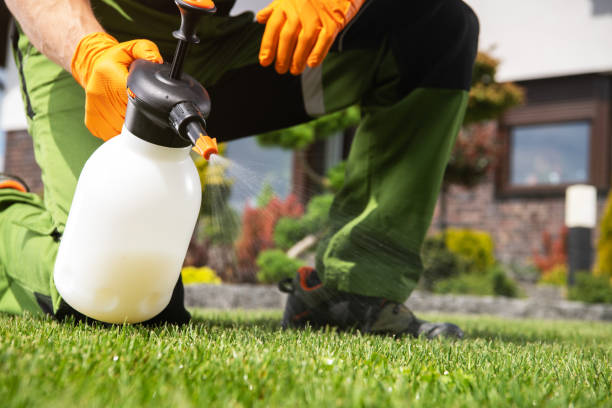 Wildlife Control Services in Iron River, MI