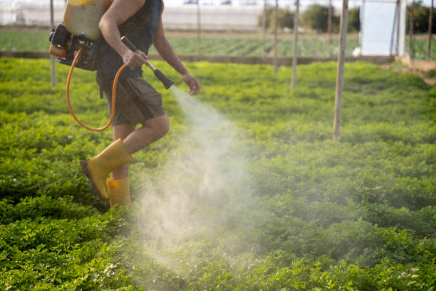 Best Ant Control Services  in Iron River, MI