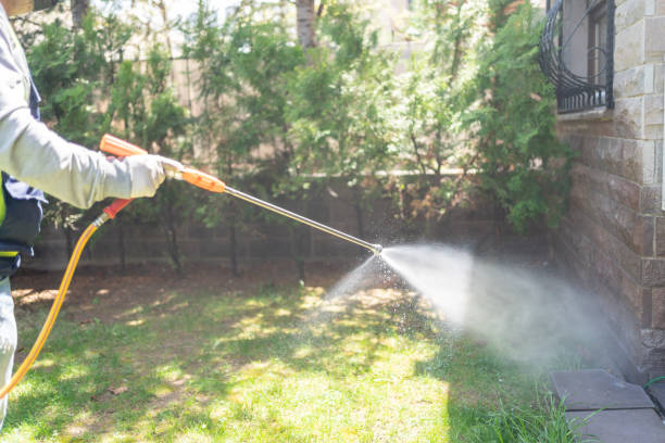 Best Residential Pest Control  in Iron River, MI