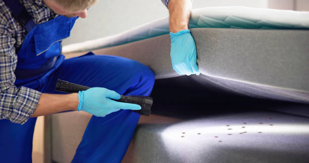 Best Bed Bug Extermination  in Iron River, MI