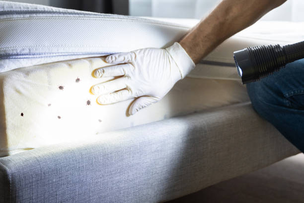 Best Commercial Pest Control Services  in Iron River, MI