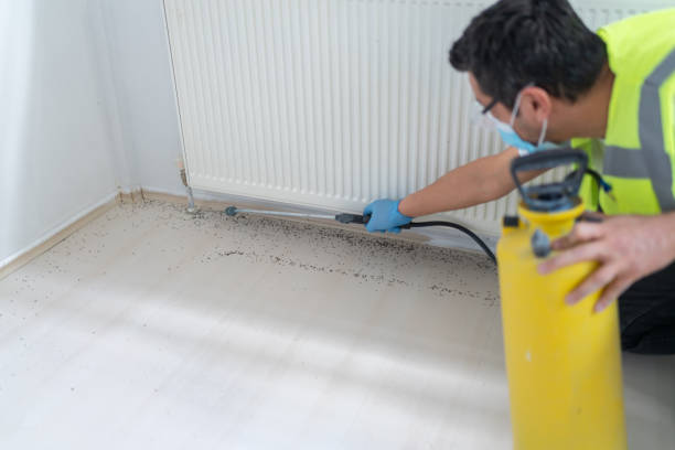 Best Pest Prevention Services  in Iron River, MI
