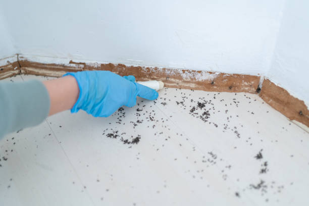 Best Affordable Pest Control Services  in Iron River, MI