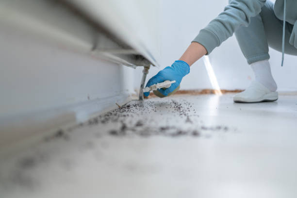 Best Local Pest Control Services  in Iron River, MI
