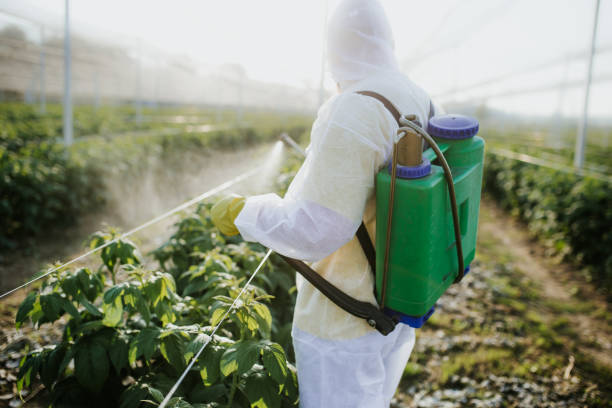 Reliable Iron River, MI Pest Control Solutions
